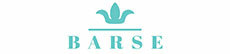 Barse Jewelry store logo