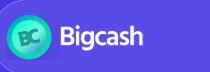 Bigcashweb store logo