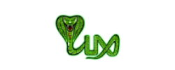 Lux sports store logo