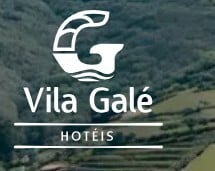 vilagale store logo