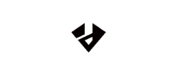 VSGO store logo