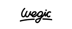 Wegic store logo